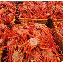 국내산 홍게 울진 동해바다 산지직송 국내 심해 홍게 8미 소자 중자 대자 자숙홍게 3kg, 홍게 8미 중자 3kg (수율 85%)