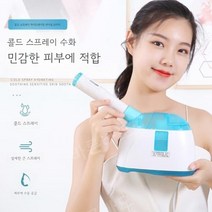 헤어스팀기 머리 가습기 홈케어 모발 수분 관리실, C