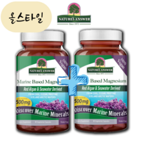 [해외] 네이쳐스앤서 수산화 마그네슘 500mg 90캡슐 2개 올스타일 미국직구, 90개