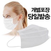 와이글로벌 덴탈마스크 개별포장 일회용마스크 화이트 멜트블로운 3중필터 당일발송, 1매입