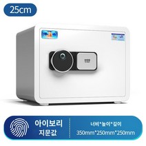 가정용금고 비밀 인테리어 지문인식 개인 사무용 현금보관함 스마트 디지털 금고, D