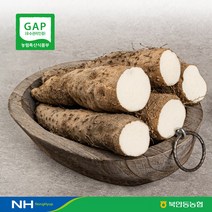 [북안동농협] GAP 국내산 (안동 산약마 산마 참마), 1box, 실속형3KG