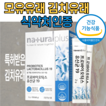 프로바이오스틱 자일로올리고당 락토 바실러스 유산균 신바이오스틱 온가족 5세 6세 초등학생유산균