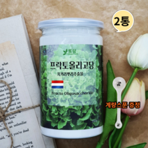 네덜란드 프락토올리고당 분말 신 프리바이오틱스 유산균분양 갈락토올리고당 이눌린 350g 2통