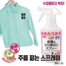 다리미 피는 스프레이 구김 뿌리는 300ml 옷주름 세탁소스프레이, 쿠플렌카 1