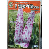 찰옥수수씨앗/ 박사찰옥수수150립/알록이찰옥수수 80립/흑찰옥수수 50립/박사찰옥수수 80립, 흑찰옥수수70립, 1개
