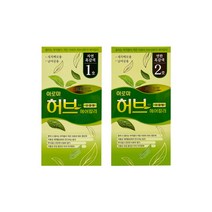 아름다운화장품 프리미엄 아로마 허브 헤어칼라 1 2제 70g, 1호 자연흑갈색