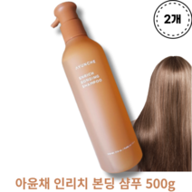 [본사정품] 아윤채 인리치 본딩 샴푸 500g 2개 AYUNCHE ENRICH BONDING SHAMPOO 두피보습 풍성한거품 손상케어 데일리헤어컨디션