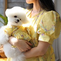 강아지 커플룩 개플룩 시밀러룩 SET, L, FREE, 옐로우