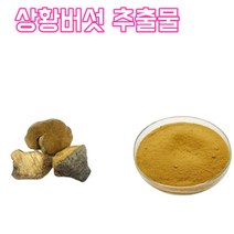 영진 상황 버섯 상황버섯 분말 상황버섯 가루 상황버섯 추출물 농축 한방 차 건강분말, 10:1, 1봉, 200g