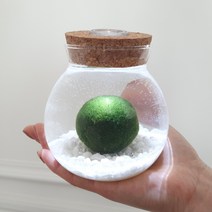 [플라라] 자이언트 마리모 키우기 애완식물 모스볼 대형마리모 수경재배 플라라, 02. 불빛코르크 유리병 (마리모 별도)-추가구성, 1개