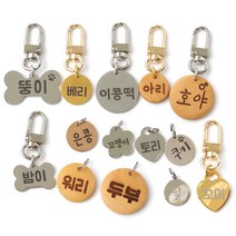 강아지 반려동물 네임택 이름표 인식표 팬던트, 써지컬 원형 S (골드), D고리(실버)