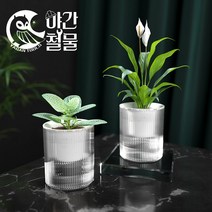 야간철물 자동급수화분 투명 플라스틱 원형 대형 저면관수 인테리어화분, S사이즈 4개