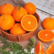 제주직송! 고당도 카라향(귤로향) 1kg/2kg 소과/중과/대과, 2kg 소과(19~24과)