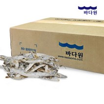 [바다원]실갈치(볶음 조림용)원물박스 1.5kg, 1개