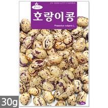 방울토마토 씨앗 10립 - 씨 토마토씨앗 방울토마토씨앗 방울토마토씨 채소씨앗 과일씨앗 주말농장 텃밭, 21_호랑이콩(30g)