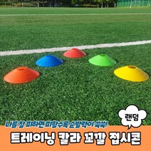 트레이닝 꼬깔 접시콘 칼라, 트레이닝 칼라 꼬깔 접시콘