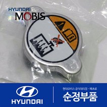 그랜드 스타렉스 순정 라디에이터 캡 뚜껑 (연식무관)