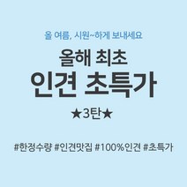 인견초특가 3탄 인견100% 인견 22종, 병아리_레드