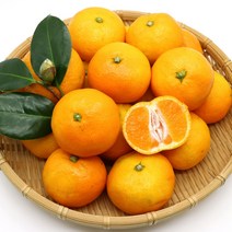 하르방마켓 제주 하우스 감귤 황금향 2kg 3kg 5kg 10kg 제주도 선물용 추석 명절 선물세트 추석과일선물세트, A-1. 최상품 감귤 선물세트 2kg