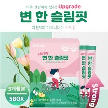 건강한 체지방 감소 에 좋은 식물성 먹는 차전자피 가르니시아 환 다이어트 보조제 건강 기능 식품, 5BOX(5개월분)