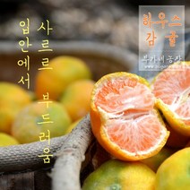 [제이샘 10월 4일 출고] 하우스감귤, 하우스감귤 4kg *2박스 (주소지동일경우), 2개