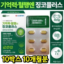부모님 기억력 인지력 면역 개선도움 은행잎추출 징코 혈행 혈액흐름 수험생 영양제 중년 여성 60대 할아버지 할머니 플라보놀 아연 판토텐산 비타민B 식약처인증 에너지 추천 선물