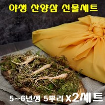 경성건강원 산양삼 생산양삼 자연산 산양산삼 뿌리 잎 녹즙 씹어먹는 사포닌 면역력 기력 국내산 강원도 쥬스 부모님선물 먹는법 선물세, 2세트, 5뿌리
