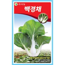 여주 10립 여주씨앗 여주씨 쓴오이 비터멜론 구과 야채씨 야채씨앗 채소씨 채소씨앗, 24_다농_백경채(1500립)