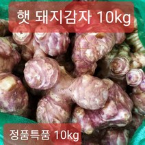 (산지특가) 돼지감자 햇 생돼지감자 10kg 정품, (23년수확)국내산 돼지감자 10kg (특대정품), 1박스