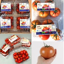 스테비아 토망고 샤인마토 폭탄할인, 샤인마토 500g X 3, 3개