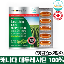 캐나다 레시틴 식물성 인지질 식약처인증 순수 대두레시틴 100% 혈중 콜레스테롤 개선, 5박스, 60캡슐