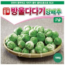 방울양배추씨앗 (500립)