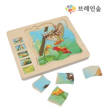 브레인숲 원목 생태성장퍼즐-나비 - 유치원 교구, 상세페이지 참조