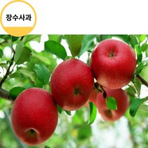 장수사과 고랭지사과 홍로사과5kg 13과 사과따기체험 사과다이어트 사과빵 사과잼 사과쥬스, 상세페이지 참조