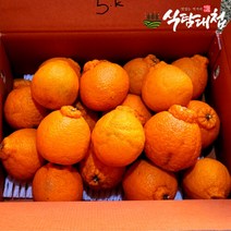 브랜드없음 식탐대첩 제주 실속형 노지 한라봉 3kg 9-15과, 단품없음