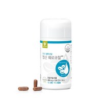 엔트리 엽산 훼로큐철 리뉴얼 400mgx120캡슐 (혈액 생성 활성화 엽산과 철분)