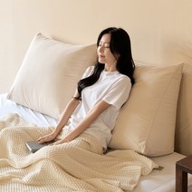 플랫화이트 삼각등받이쿠션 소형 중형 대형 특대형, 아이보리