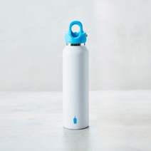 블루보틀 고보틀 한손으로 열리는 커피 탄산 캠핑 텀블러 물병 블루, 블루