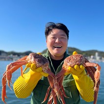 국내산 동해바다 제철 대게 수율보장, 국산대게(생물), 준박달대게 중 3마리(생물)_수율80%내외