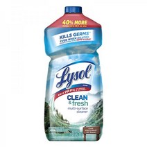 라이솔 Multi-Surface Cleaner Sanitizing and Disinfecting Pour to Clean and Deodorize Cool Adirondack