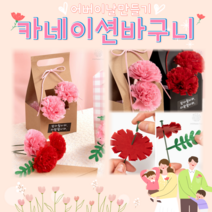어린이집 카네이션만들기 어버이날 만들기키트 미술 초등 만들기키트 유아 집콕놀이 카네이션바구니 스승의날만들기 선물 단체미술 만들기재료 DIY KIT 부모님선물, 핑크체크(꽃3송이)