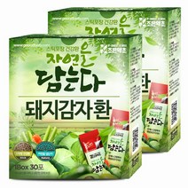 굿허브 조은약초 자연을 담는다 스틱형 돼지감자환, 90g, 2개