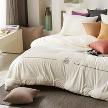 정전기방지 털빠짐없는 고밀도 단모 극세사 자수 두꺼운 겨울 차렵이불 퀸 킹 사이즈 침대