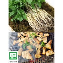 순수 새싹삼 [GAP 인증] 미니 100 뿌리 150 뿌리 (15cm 내외) 1box 일반포장, 150뿌리