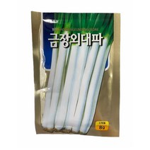 대파 씨앗 금장외대파 8g