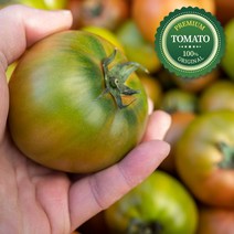 대저농협인증 정품 짭짤이토마토 2.5kg (당일수확 당일배송), 짭짤이토마토 2.5kg 중소과 (S-M과), 1개