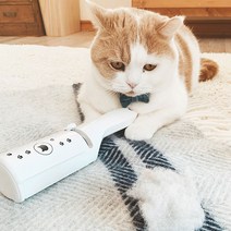 네코이찌 돌돌이 와이퍼, 단품