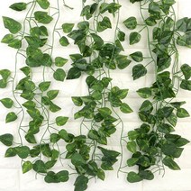 Simple Design 조화 인테리어 스킨답서스 넝쿨 2M, 1묶음(12줄)