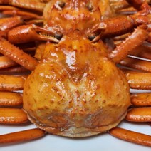 연지홍게 포항 구룡포 홍게 자숙 프리미엄 2.5kg